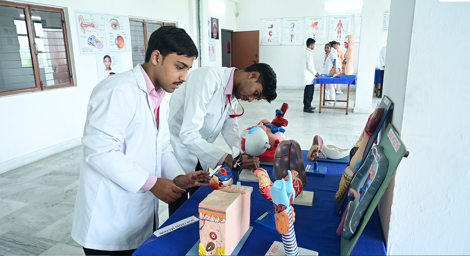 Pediatric Lab Overview
